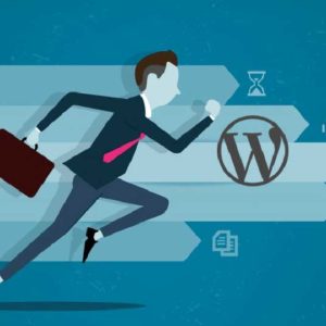 7 Best Ways To Optimize Your WordPress Theme