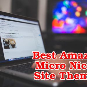 Best Amazon Micro Niche Site Themes